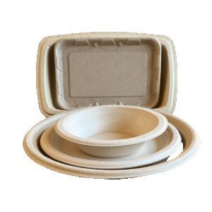 2 1 3 Rapidly renewable packaging for the future