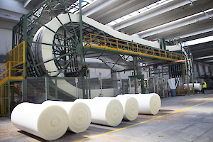 img 8199 resized.300x0 is The Vita Group accelerates investment plans following completion of Italian acquisition