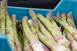 shutterstock 634667435.300x0 is IAG Cargo ships over 2,000 tonnes of asparagus in 2021