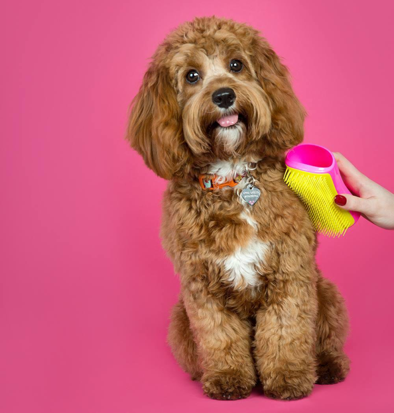 duyy0hiwaaewdec Pets at Home support growth plans with a £2.5 million warehouse update