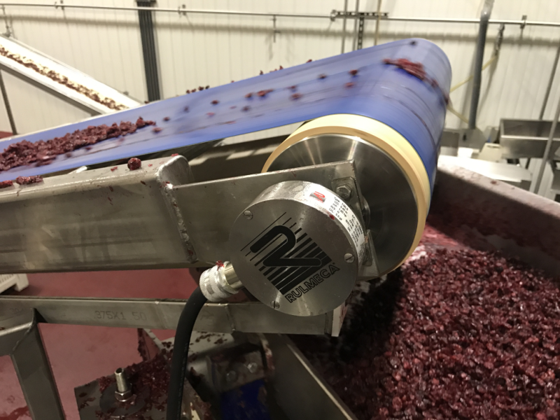 rulmeca june fe enews pic Rulmeca drum motors rise to the challenge of cranberry production