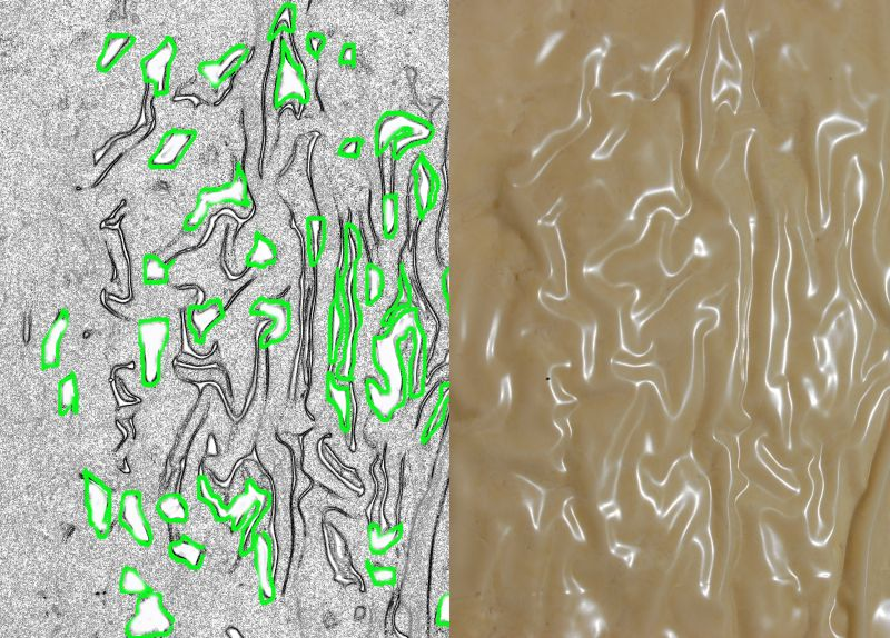 cheese image and block Great vision from AutoCoding Systems at Dairy Crest, Davidstow