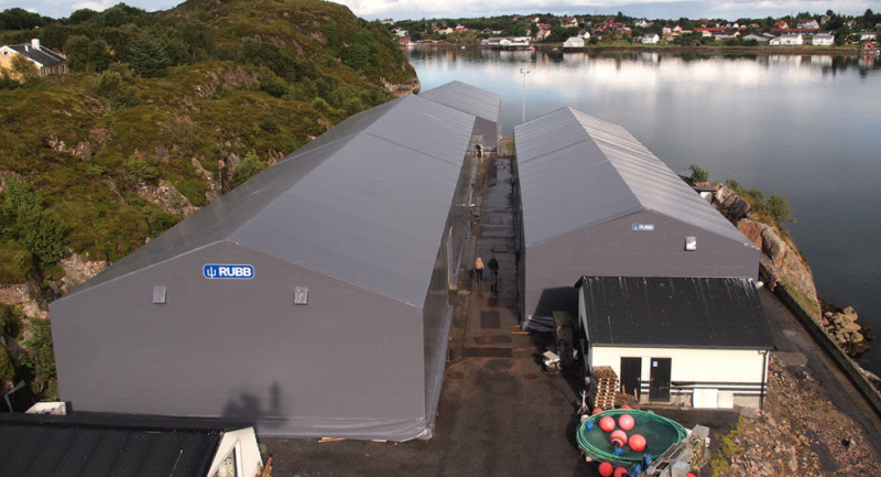 rubb Pressure mounts on UK ports to enhance infrastructure capacity ahead of Brexit