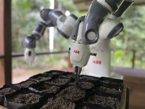 ABB Robotics Amazon reforestation pilot YuMi plants 640 seed bags per morning during the pilot program World’s most remote robot automates Amazon reforestation project