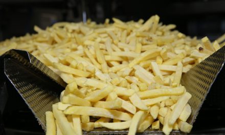 Aviko sets the pace in packing fries