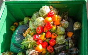 BEC210 Image How automating the food industry can reduce waste and ruined food