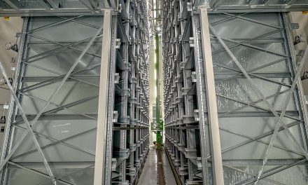 Warehouse automation depends on the right racking