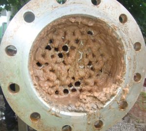 Biological fouling from algae can often be encountered where river water is used for cooling How to reduce the effects of heat exchanger fouling