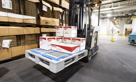Choosing The Right Plastic Pallet: A Circular Economy Approach
