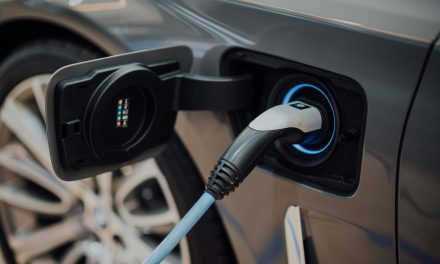 Pallet Pooler’s latest sustainability initiative removes equivalent carbon to driving around the world 28 times