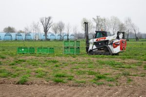 Euroverde Zanon 3 red Bobcat T76 Compact Track Loader: An Irreplaceable Ally for Harvesting in the Euroverde Fields