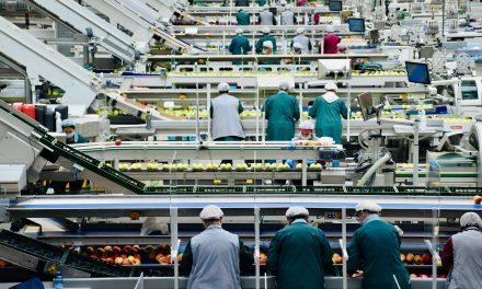 Managing noise on food’s factory floor ~ Automation for workplace safety in food and beverage ~