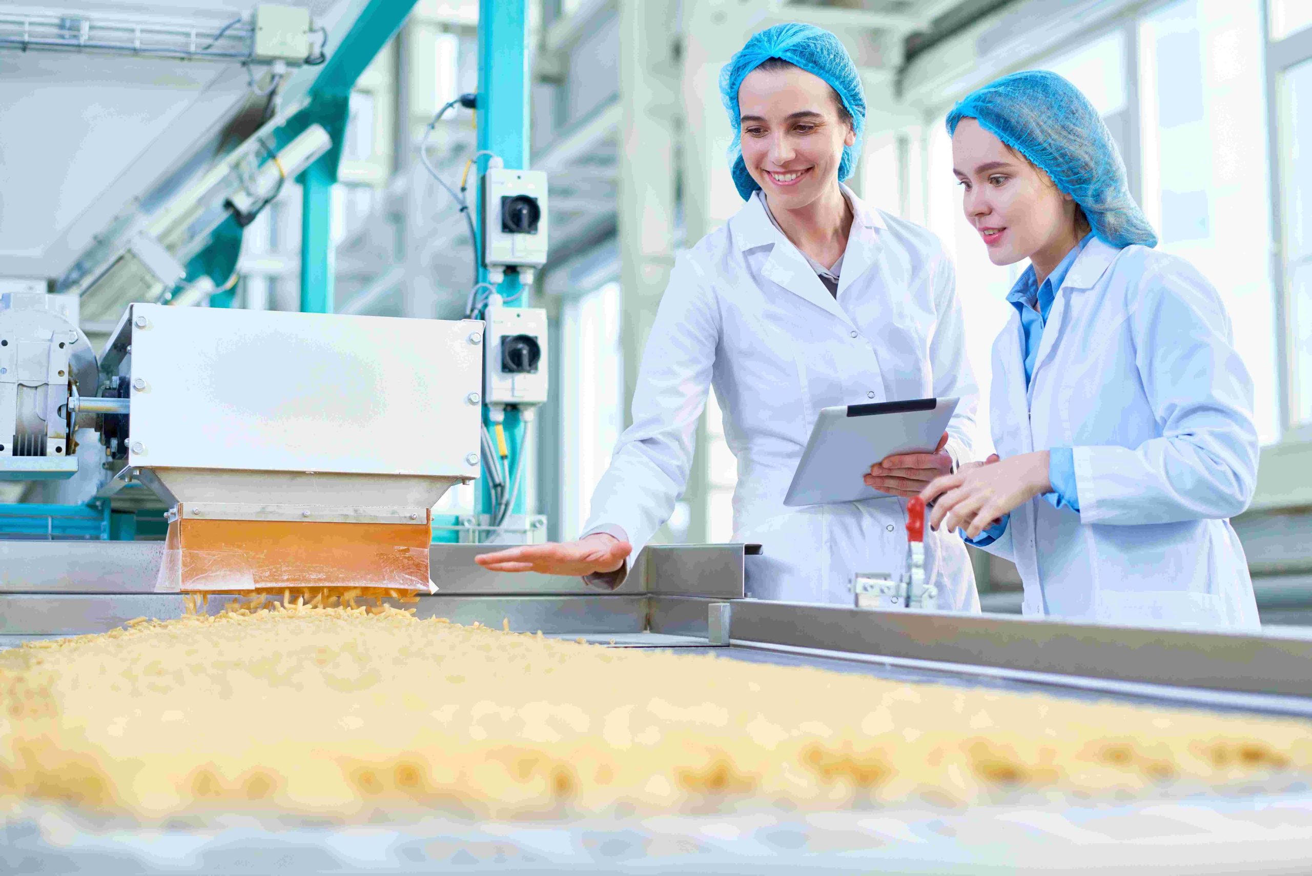 Food processing – small