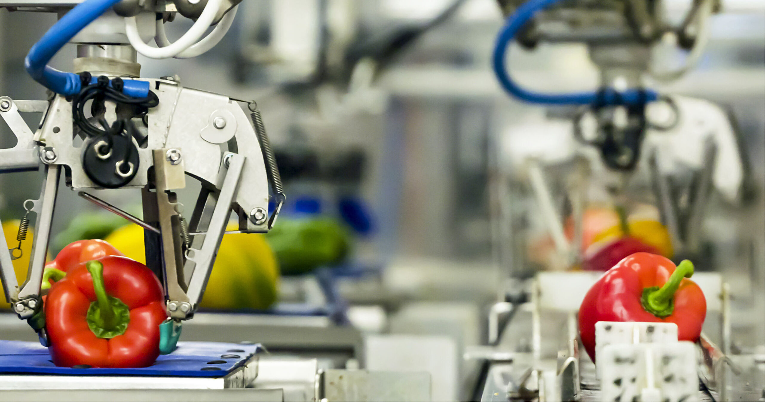 Image 1 15 scaled Beating the skills shortage in F&B