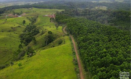 Sumitomo (SHI) Demag UK receives gold certification badge from Carbon Neutral Britain