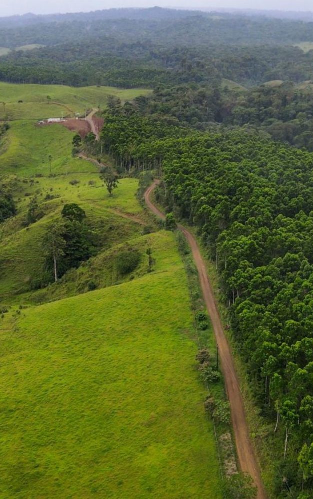 Sumitomo (SHI) Demag UK receives gold certification badge from Carbon Neutral Britain