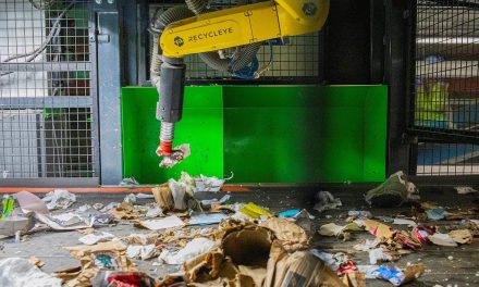 The evolution of vision in robotics