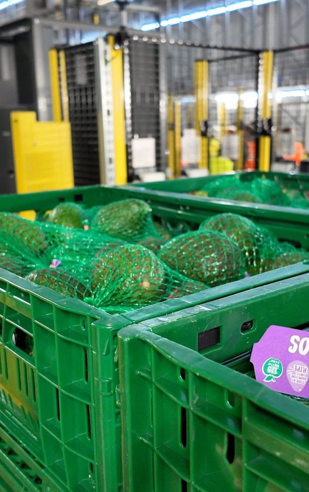 The technology moving more than 1.5 million kilos of fresh produce to hundreds of Aldi stores daily