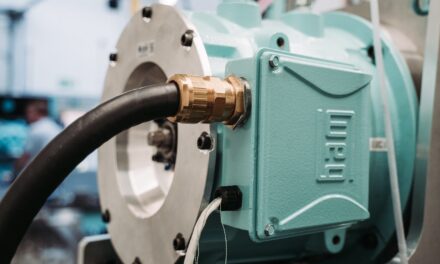 Setting the standard