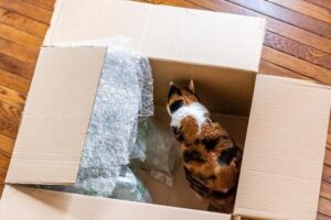 Oversized box 002 Every parcel should be your brand ambassador