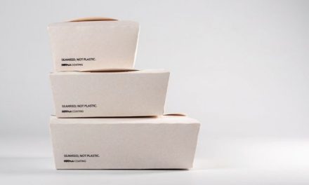 Evolution or revolution: How change looks different for everyone