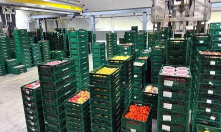 The future of logistics is automated: Netto’s strategic partnership with Cimcorp
