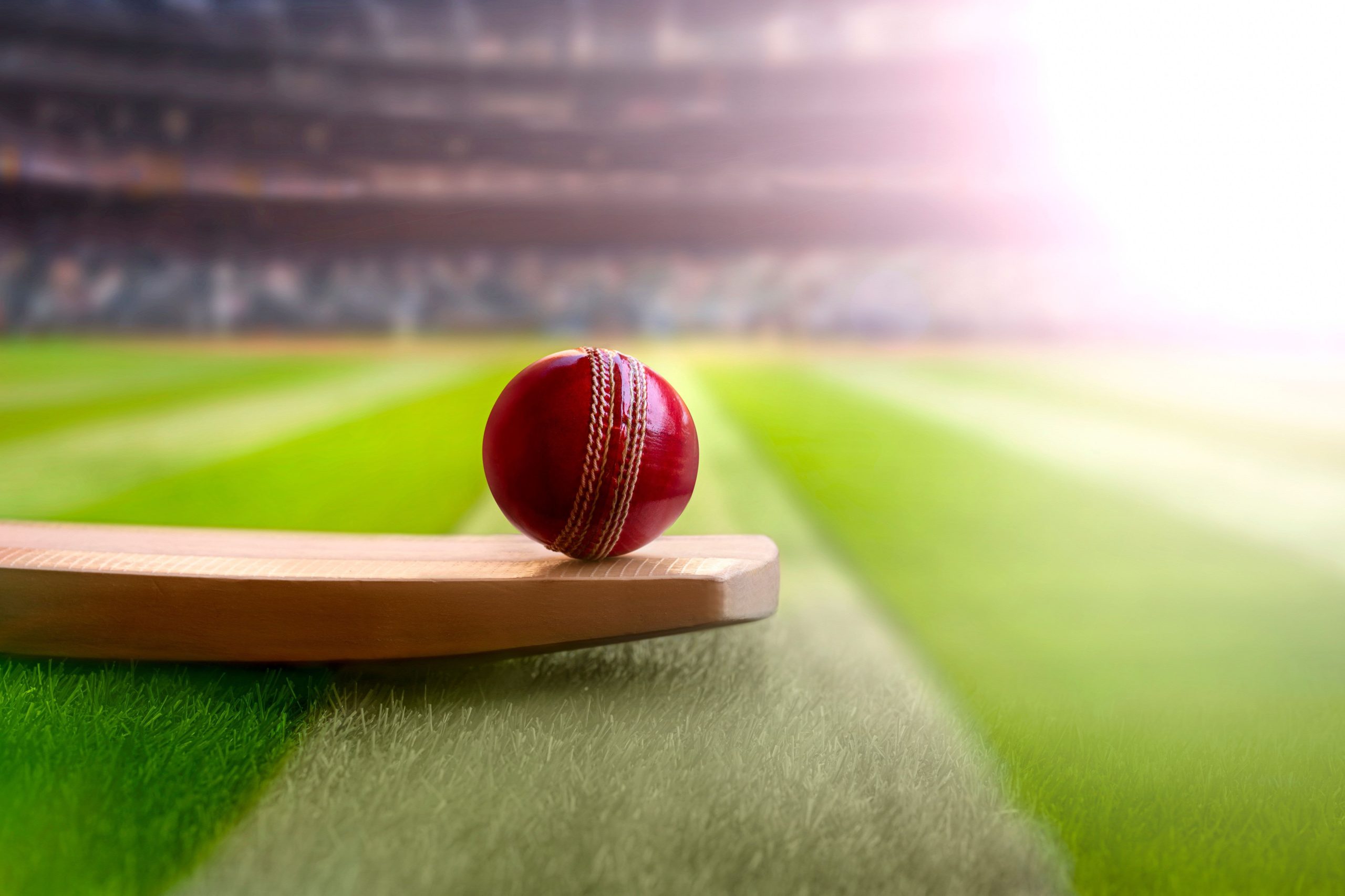 Automating cricket ball production