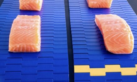 What is the best conveyor belt for food safety?