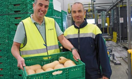 Alimerka enhances supply chain efficiency and sustainability with Cimcorp