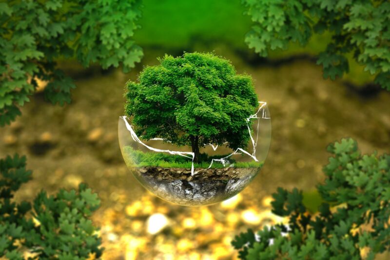 Bureau Veritas tells businesses to act now to reduce emissions and become Net Zero