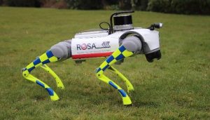 subrosa-robotic-security