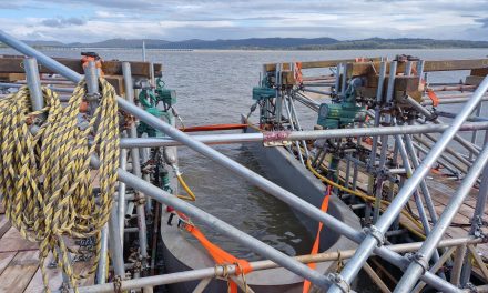 Hoist & Winch helps bridge the lifting expertise gap