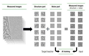 image 1 1 Advancing X-ray Inspection with Deep Learning De-noising Technology
