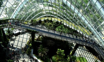 Business emissions: a guide to carbon offsetting for SMEs