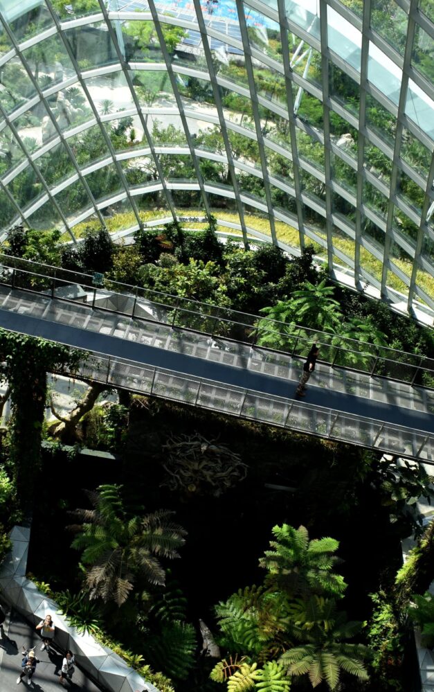Business emissions: a guide to carbon offsetting for SMEs