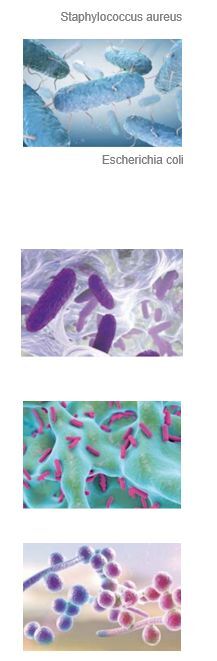 pics SELF-SANITISATION AGAINST BACTERIA AND FUNGI