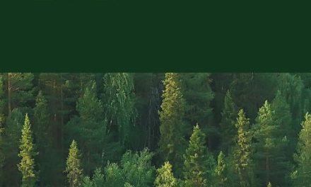 Test Valley Packaging partnering with Planet Mark to smash Net Zero targets